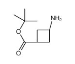 cis-tert-Butyl-3-aminocyclobutane-1-carboxylate Structure