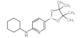 N-Cyclohexyl-5-(4,4,5,5-tetramethyl-1,3,2-dioxaborolan-2-yl)pyridin-2-amine Structure