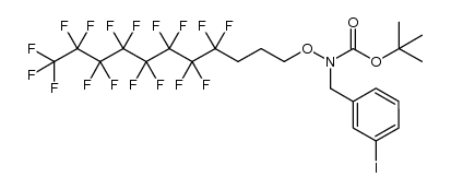 tert-butyl (4,4,5,5,6,6,7,7,8,8,9,9,10,10,11,11,11-heptadecafluoroundecyl)oxy(3-iodobenzyl)carbamate结构式