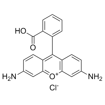 Rhodamine 110 Structure