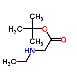 2-Methyl-2-propanyl N-ethylglycinate Structure