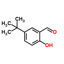 5-叔丁基-2-羟基苯甲醛结构式