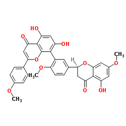 2,3-Dihydrosciadopitysin Structure