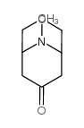 9-甲基-7-氧杂-9-氮杂双环[3.3.1]壬烷-3-酮结构式