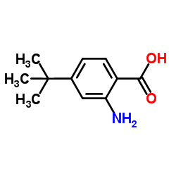 2-氨基-4-叔丁基苯甲酸结构式