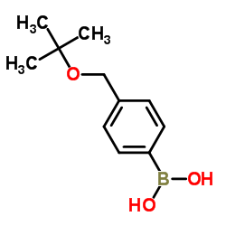 4-(叔丁氧基甲基)苯基硼酸结构式
