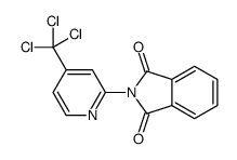 2-[4-(trichloromethyl)pyridin-2-yl]isoindole-1,3-dione结构式