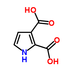 1H-吡咯-2,3-二羧酸结构式