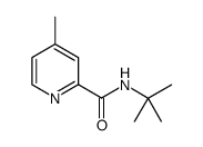 N-tert-butyl-4-rnethylpicolinamide结构式