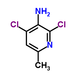 2,4-二氯-6-甲基吡啶-3-胺图片