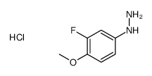 (3-FLUORO-4-METHOXY-PHENYL)-HYDRAZINE HYDROCHLORIDE Structure