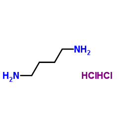 1,4-丁二胺二盐酸盐-D8结构式
