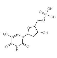 胸腺嘧啶脱氧核苷酸结构式