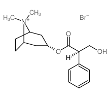 (8,8-dimethyl-8-azoniabicyclo[3.2.1]oct-3-yl) 3-hydroxy-2-phenyl-propanoate结构式