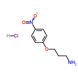 3-(4-nitro-phenoxy)-propylamine, hydrochloride Structure