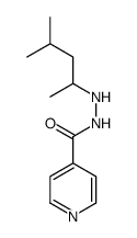 N'-(4-methylpentan-2-yl)pyridine-4-carbohydrazide Structure