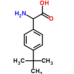 Amino[4-(2-methyl-2-propanyl)phenyl]acetic acid Structure