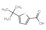 5-叔丁基噻吩-2-羧酸结构式