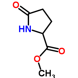 甲基5-氧代吡咯烷-2-甲酸酯结构式