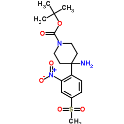 1-Boc-4-[4-(methylsulfonyl)-2-nitrophenyl]piperidin-4-amine picture