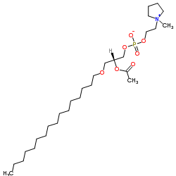 Pyrrolidino PAF C-16 Structure