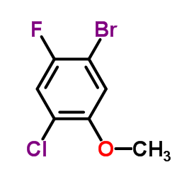 1-Bromo-4-chloro-2-fluoro-5-methoxybenzene picture