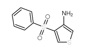 4-(苯基磺酰氯)噻酚-3-胺结构式
