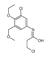 3-chloro-N-[3-chloro-4-ethoxy-5-(methoxymethyl)phenyl]propanamide Structure