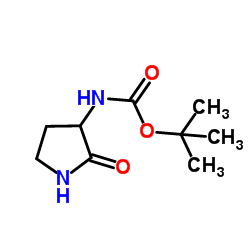 3-(Boc-氨基)吡咯烷-2-酮结构式