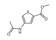 4-acetylamino-thiophene-2-carboxylic acid methyl ester Structure