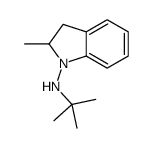 N-tert-butyl-2-methyl-2,3-dihydroindol-1-amine Structure