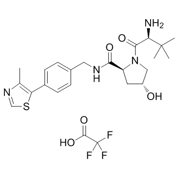 蛋白质降解剂1 TFA结构式
