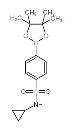 N-环丙基-4-(4,4,5,5-四甲基-1,3,2-二氧杂硼烷-2-基)苯磺酰胺结构式