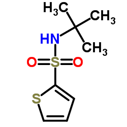 2-噻吩叔丁基磺酰胺结构式