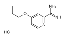4-propoxypyridine-2-carboximidamide,hydrochloride Structure