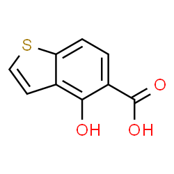 4-羟基苯并[b]噻吩-5-羧酸结构式