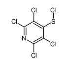 (2,3,5,6-tetrachloropyridin-4-yl) thiohypochlorite Structure