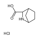 (1S,3r,4r)-2-氮杂双环[2.2.1]庚烷-3-羧酸盐酸盐结构式