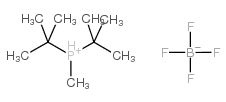 二叔丁基甲基膦四氟结构式