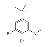 2,3-dibromo-5-tert-butyl-N,N-dimethylaniline结构式