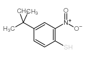 4-叔丁基-2-硝基苯硫酚结构式