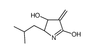 (4S,5S)-4-hydroxy-3-methylidene-5-(2-methylpropyl)pyrrolidin-2-one结构式