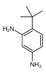 4-tert-butylbenzene-1,3-diamine Structure