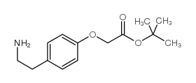 [4-(2-氨基乙基)苯氧基]乙酸叔丁酯结构式