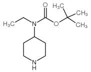 叔丁基乙基(哌啶-4-基)氨基甲酯结构式