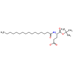 N-十六酰基-L-谷氨酸 Α-叔丁酯结构式