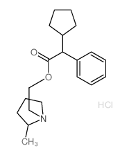 Benzeneacetic acid, a-cyclopentyl-,2-(2-methyl-1-pyrrolidinyl)ethyl ester, hydrochloride (1:1)结构式