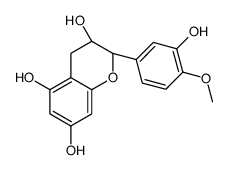 4'-O-Methylcatechin picture