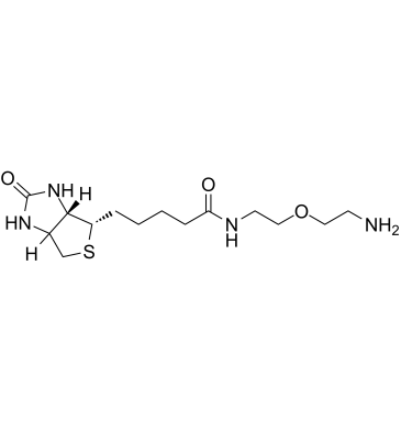 Biotin-PEG1-NH2结构式