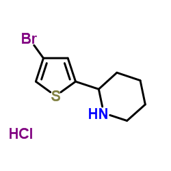 2-(4-BROMO-2-THIENYL)PIPERIDINE HYDROCHLORIDE Structure